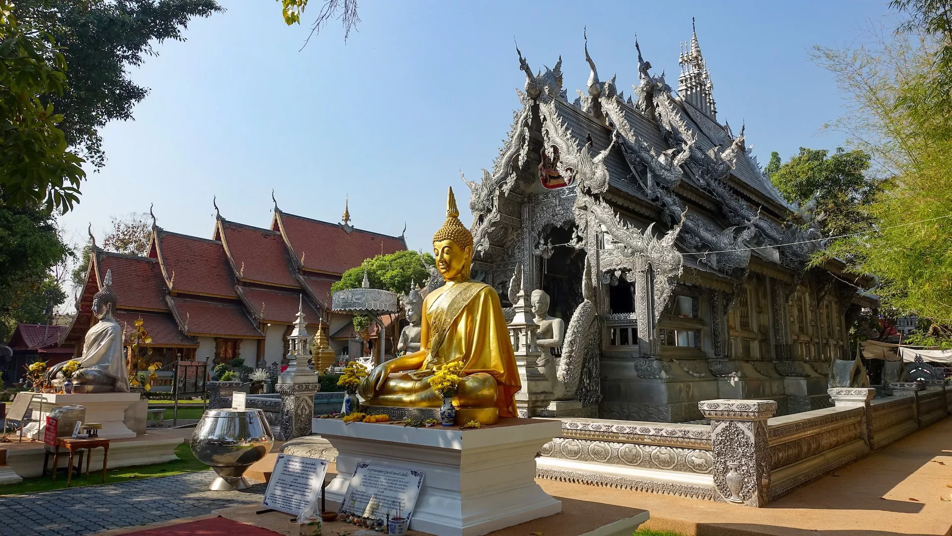 Want to Learn Thai? Here are the best Thai language schools in Chiang Mai