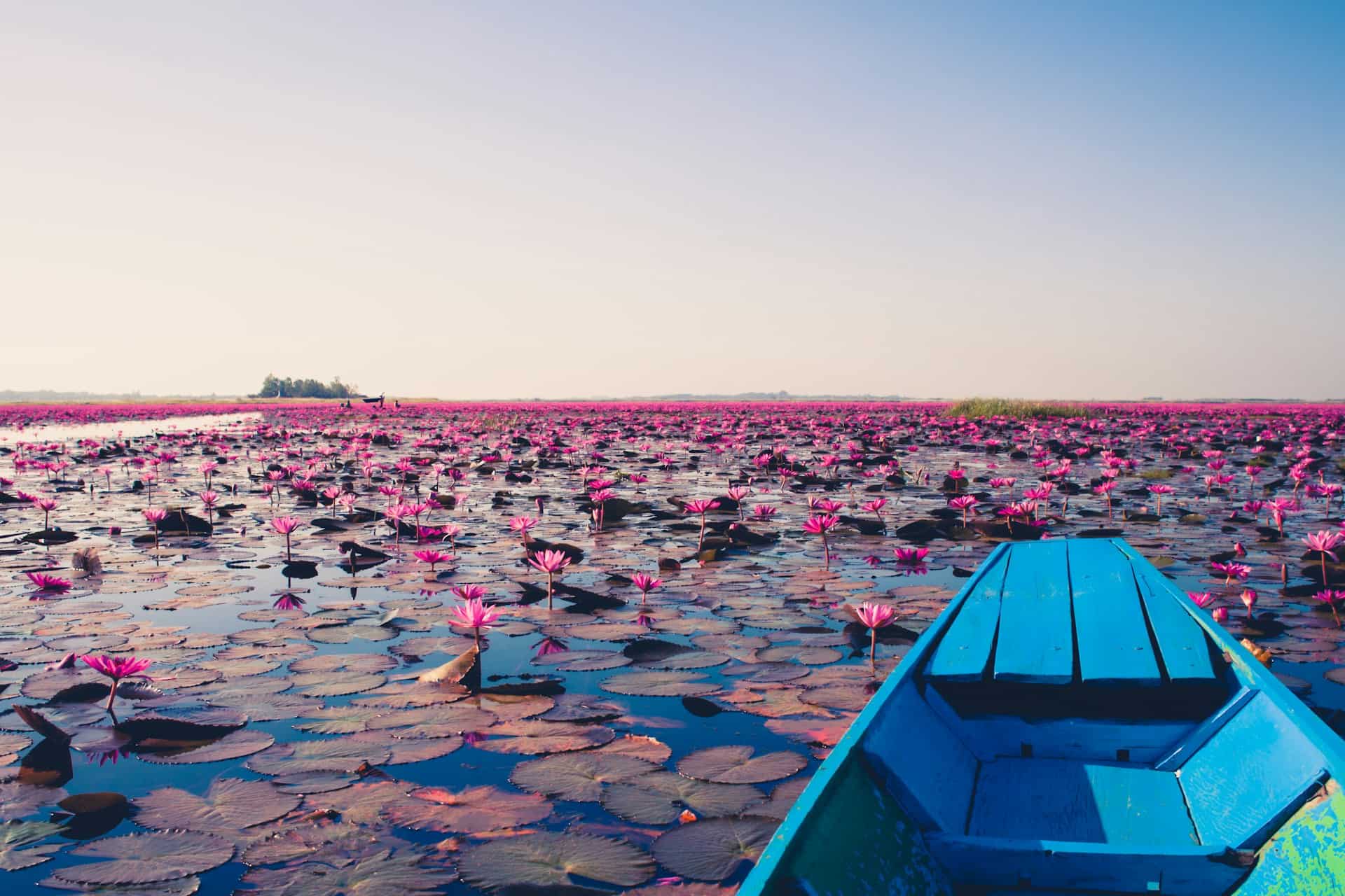 How to Get from Pattaya to Udon Thani (2026): Timetables, Tickets & Tips